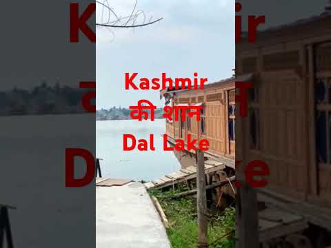 जन्नत की झलक चाहिए? एक बार डल झील जरूर देखिए! #shorts