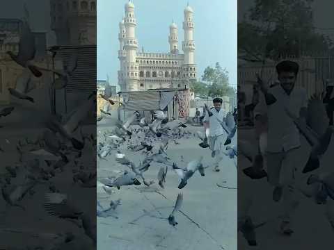 Hyderabad ❤️ #shortvideo