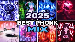 Mix of the BEST BRAZILIAN PHONK of 2025 | Slowed and Reverb🎵