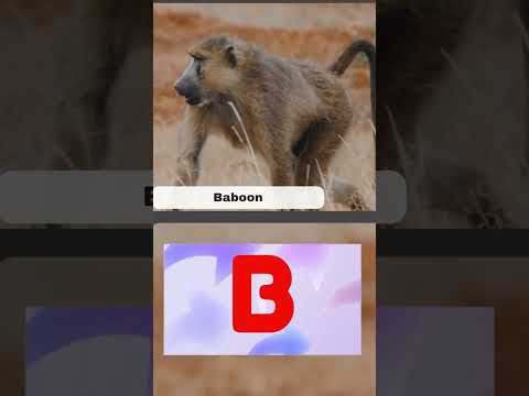 Animal Names By Letters Of The Alphabet Shorts - A, B, C #alphabet #havefun #animal