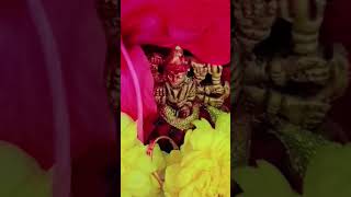 #jaimatadi#matarani#devijas#matasherawali#new#shorts#cgsong#cg