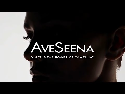 Why are skincare experts, editors, and beauty insiders raving about Camellia and this cream?