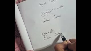Algebra Basics #1|Variable and Constant #easy #educationalvideo  #math #algebra #basic #learning