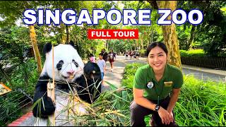 🐼 Singapore Zoo Full Tour | Amazing Rainforest Wonderland | A paradise for Wildlife Lovers🇸🇬🦁🦧