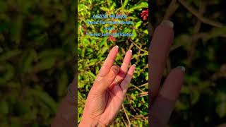 #mudra #mudratherapy #yogaforeveryone #yoga #yogaformentalhealth