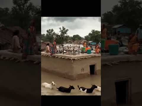 Poor Villagers are suffering from flood #floodtoday #plz_subscribe_my_channel #tearsofpeople😭😭#yt