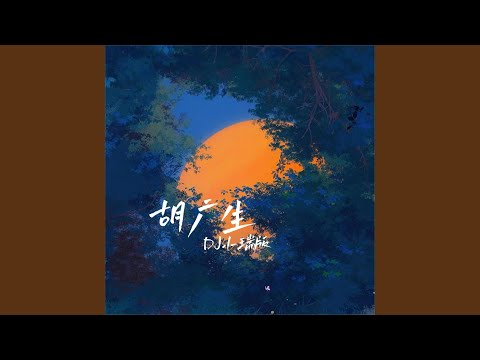 胡广生 (DJ小瑞版)