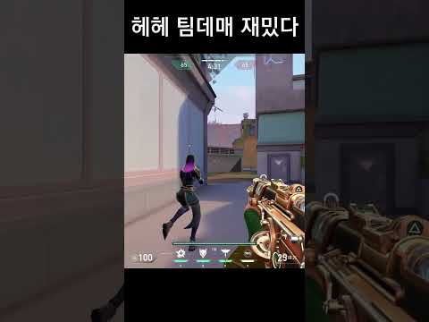 이게 바로 팀 데스매치?!