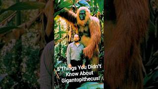 5 Things You Didn’t Know About Gigantopithecus #gigantopithecus #funfacts #didyouknow #youdidntknow