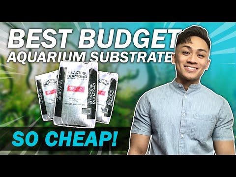 7 REASONS TO GET BLACK DIAMOND BLASTING SAND | Best Budget/Cheap Aquarium Substrate for Fish Tanks?