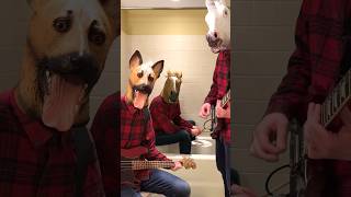 “Paranoid” - Black Sabbath cover in the bathroom | 1 year ago throwback