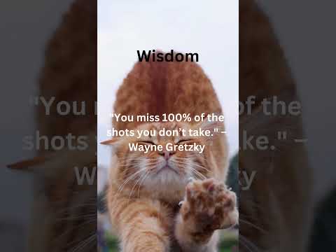 Motivational Quote Day 12