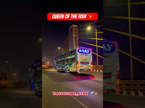 Jay Travels Added 2 New Luxurious Bus Queen of fish ✨♥️ ll Premium Luxurious Bus #shorts #viral #bus