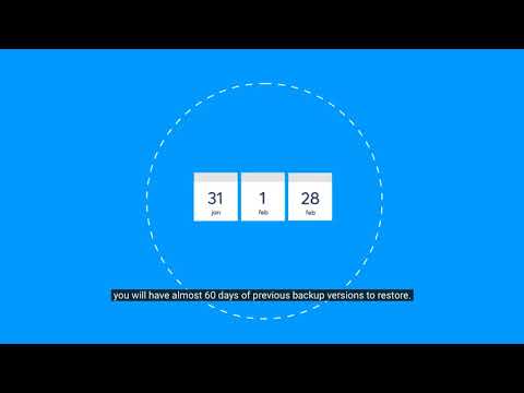 BackupVault 60 Day Data Retention