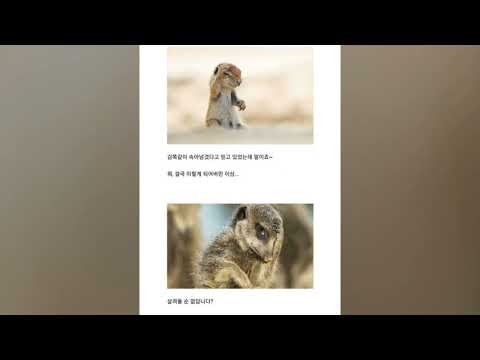 말해줘 [言って｡ 요루시카] cover