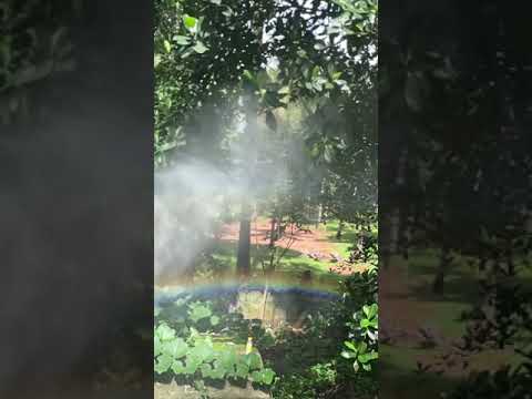 Making rainbow at home|| shot on iPhone 12 mini|| slow-mo video