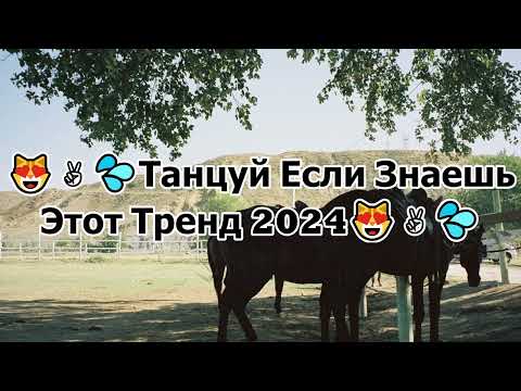 😻✌️💦ТАНЦУЙ ЕСЛИ ЗНАЕШЬ ЭТОТ ТРЕНД 2024😻✌️💦 ТИК ТОК ТОК ТРЕНДЫ❤️