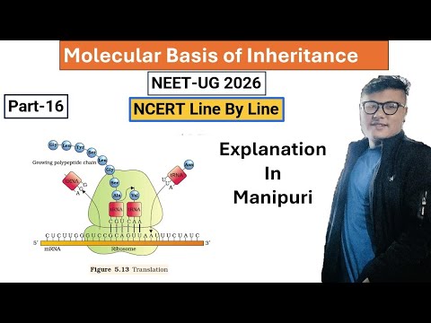 Molecular Basis of Inheritance and Variation || Part- 16  || NEET UG #ncert #neet #latestnews