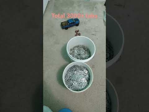 Aluminum can tab collection