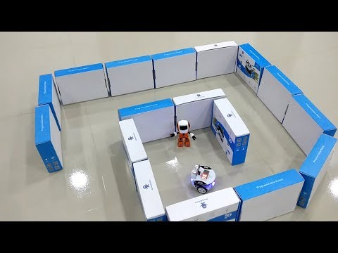 Through the Maze with Bell Robot
