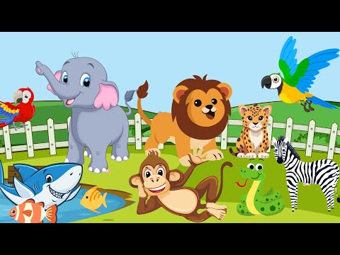 Exploring Animal Kingdoms Across Continents!