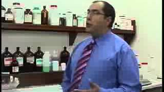 SEEP XLab series : Stem Cells