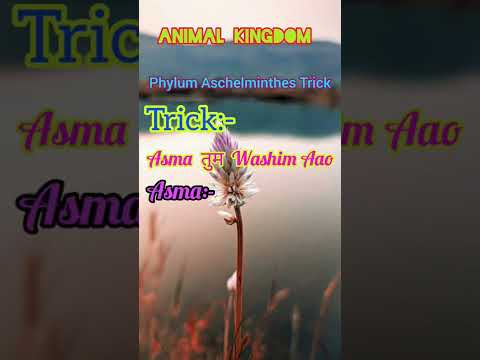 Animal Kingdom Tricks| Phylum Aschelminthes Trick #neet #animalkingdomtricks #biologytricks #neet