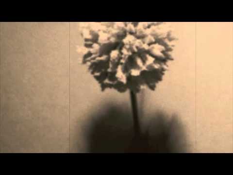 Hush Forever - Let go