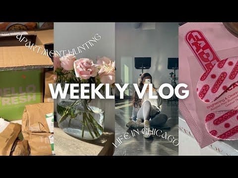 Basic Weekly Vlog - Chicago Apartment Hunting , H-Mart , Hello Fresh Unboxing