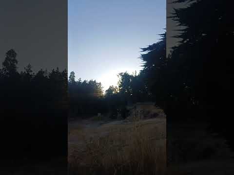 amaneciendo el tabo