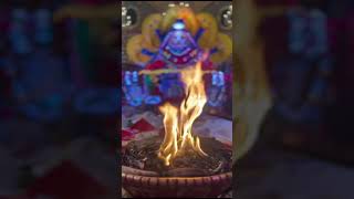 Jai shree shyam 🌹♥️#ShyamBhajan #DevotionalSongs #Bhakti #DailyBhajan #BhajanShorts #ShyamDevotion