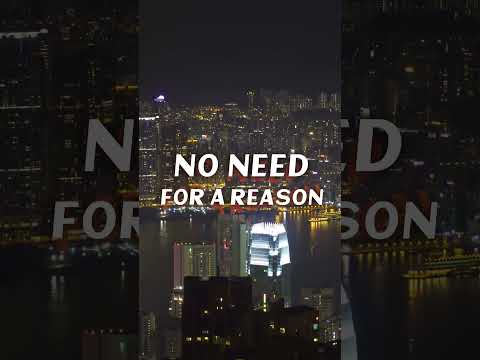 Summer Nights & Neon Lights: The Soundtrack of a Lost Era