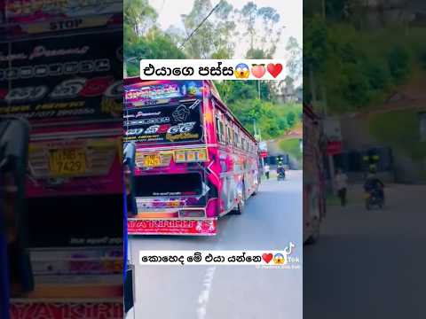 එයාගෙ ලස්සන😱♥️ #busworld #automobile#newbusvideo #vahicles #slvehicles #dhamrejini #trending#driver