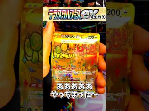 ２枚箱… テラスタルフェス その２０【 pokemon card game】 #テラスタルフェス #ピカチュウ #ポケポケ #ポケカ