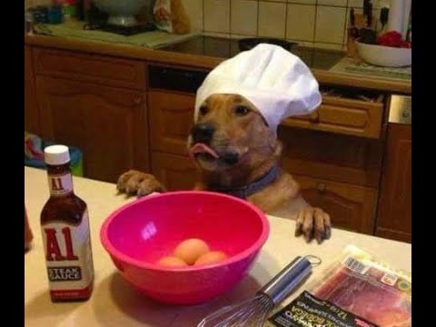 We work at restaurants! 🧑‍🍳