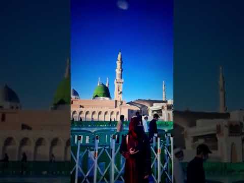 Jashn e Amad e Rasool - Farhan Ali Qadri #islam #freepalestine #shorts #youtubeshorts #shortvideo