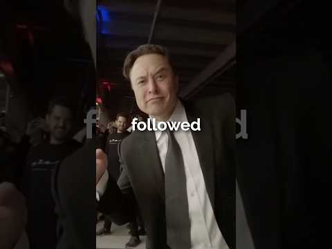 what are the most followed accounts from each platform?