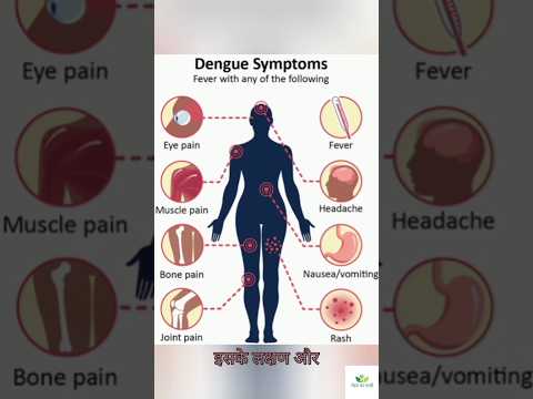 डेंगू के लक्षण और बचाव | Dengue Symptoms & Prevention Tips | #dengue #dengueprevention #healthtips