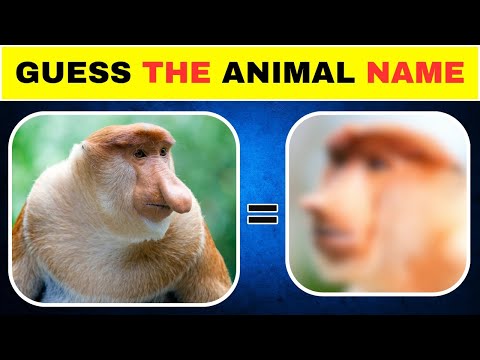 धुंधली तस्वीर से जानवर पहचानो 🐾 |  | Animal Quiz Challenge 2025❓ Blurred Photo Quiz? Find Out Now!