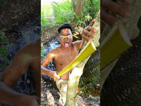 WOW! Survival Skills In Forest | Bushcraft Life Hacks #shorts #survival #bushcraft #useful #outdoors