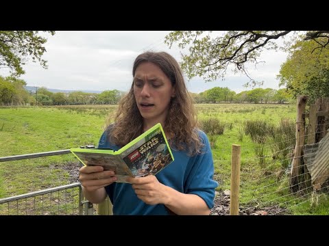 Overcoming writer’s block and a poem