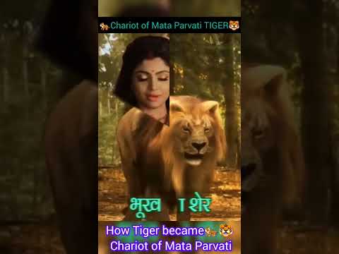 How Tiger became🐅🐯 Chariot of Mata Parvati#bholenath #shorts#reelsvideo