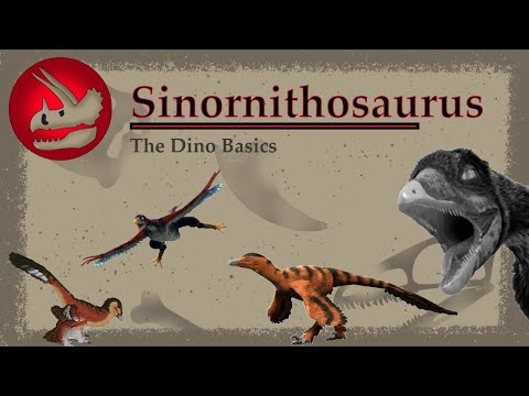 The Venomous(?) Flying(?) Dinosaur | Sinornithosaurus | Dino Basics