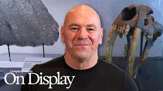 Inside Dana White's Insane Office: $2 Million Card Collection & Rare Memorabilia | On Display