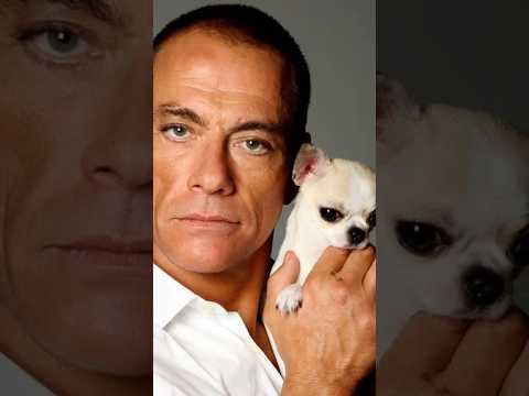 Steven Van Damme He's Good