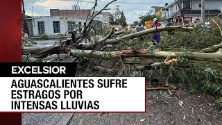 Más de 30 árboles caídos en Aguascalientes por tremenda tormenta