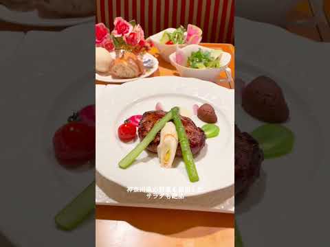 flora ロイヤルパークホテル横浜 フローラ ハンバーグランチ ナレーション 食レポ ボイス
