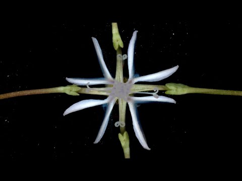 Nada Surf 'So Much Love' (Official Lyric Video)