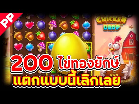 สล็อต PP ✨CHICKEN DROP ✨