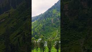 ### #mountains #duet #beautiful #gojarigeet #tseriesapnakashmir #love #tabussamwangti